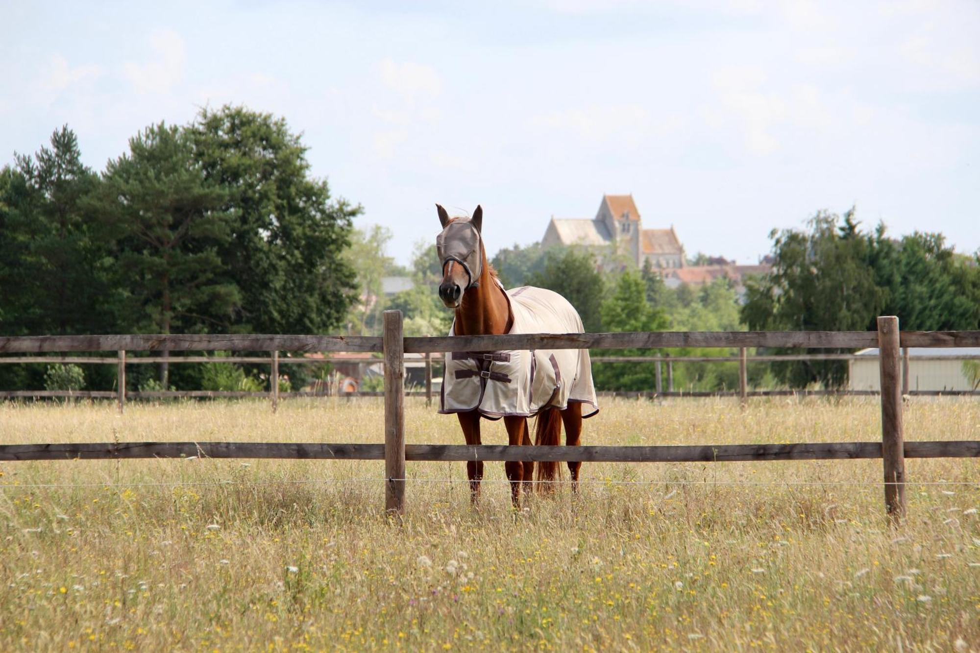 Maison Moz Fontaines-en-Sologne Luaran gambar